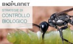 Distributore